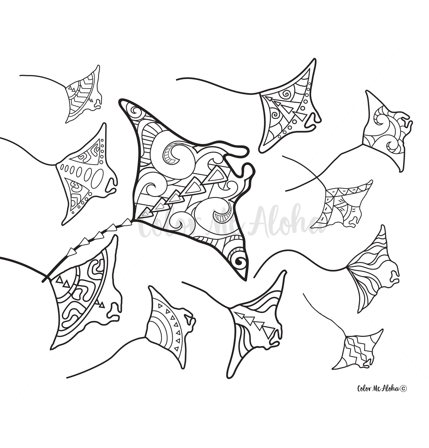 Coloring Page of Manta Ray off the Kona Coast