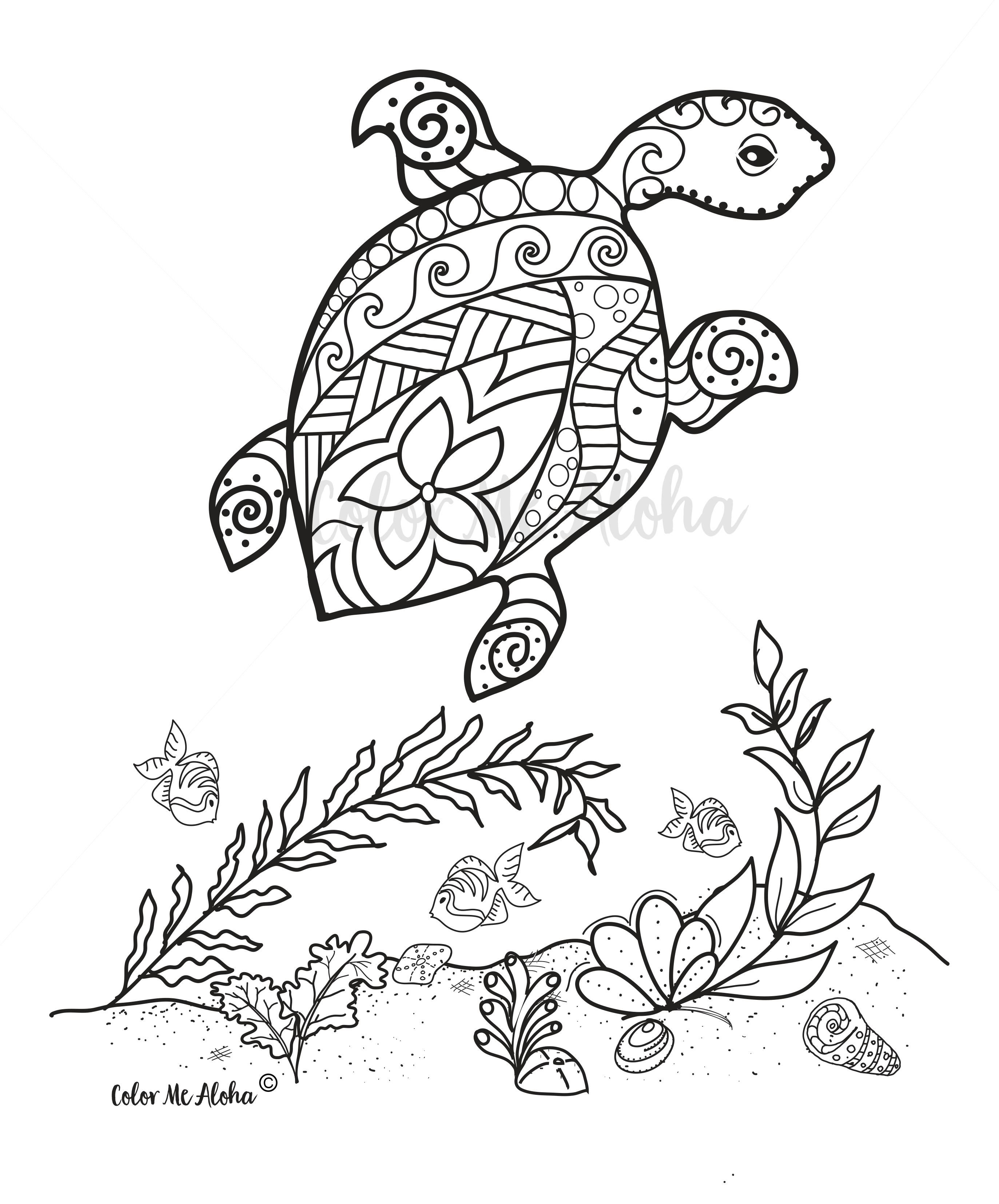 Coloring Turtle Pages